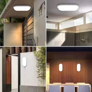 LED Outdoor/Indoor  LED Wall Lamp