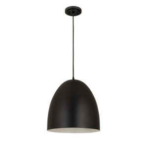 Pendant Black Dome Light Fixture