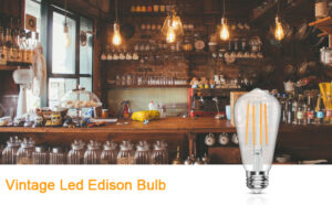 Edison Filament Bulb