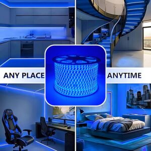 Home Decoration LED Rope Lights