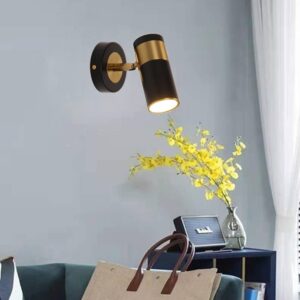 Adjustable Wall Mount Spot Light