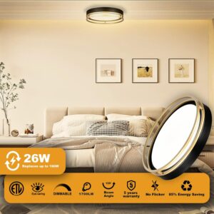 LED Flush Mount Ceiling Light Fixture