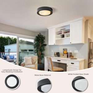 Modern Tricolor Flush Mount Ceiling Light
