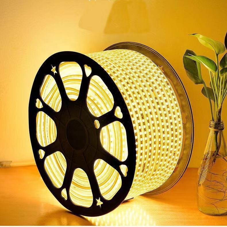 220V waterproof 2835 LED rope strip light roll