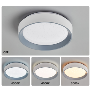 Modern Minimalist Round 3CCT LED Ceiling Light